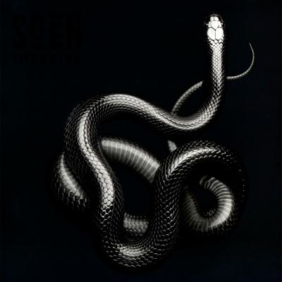 Soen – Imperial LP